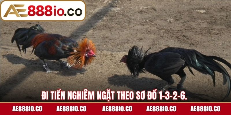 Đi tiền nghiêm ngặt theo sơ đồ 1-3-2-6